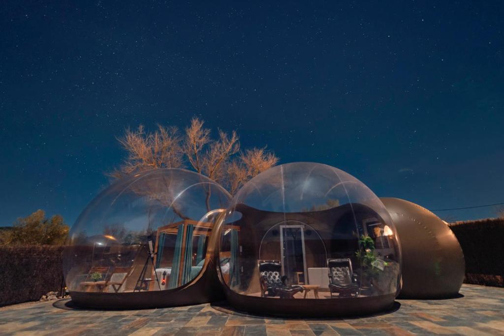 Una noche de verano bajo las estrellas en Zielo de Levante